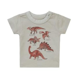 Noppies Baby Boys Tee Momence Short Sleeve T Shirt Baby, Willow Grey N044, 68 Noppies Baby Boys Tee Momence Short Sleeve T Shirt Baby, Willow Grey N044, 68
