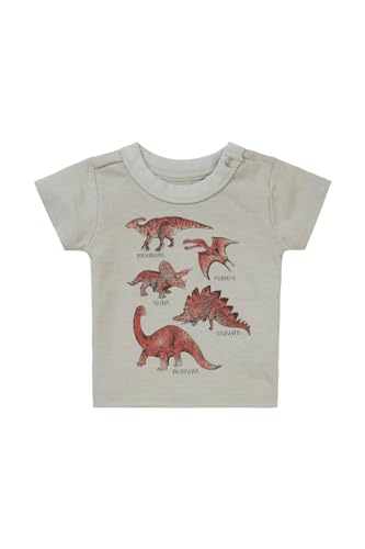 Noppies Baby Boys Tee Momence Short Sleeve T Shirt Baby, Willow Grey N044, 68 - obrazek 1