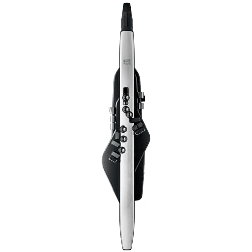 Roland AE 30 Aerophone Pro Profesjonalny Cyfrowy Instrument Dęty Wyświetlacz OLED Konstrukcja Klasy Premium i Profesjonalna Łączność Wbudowane Potężne Narzędzia do Edycji Ponad 300 Dźwięków Roland AE 30 Aerophone Pro Profesjonalny Cyfrowy Instrument Dęty Wyświetlacz OLED Konstrukcja Klasy Premium i Profesjonalna Łączność Wbudowane Potężne Narzędzia do Edycji Ponad 300 Dźwięków