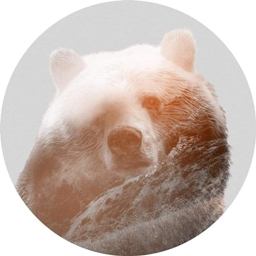 Komar D1 015 Dot, samoprzylepna i okrągła fototapeta, kolorowa - obrazek 1