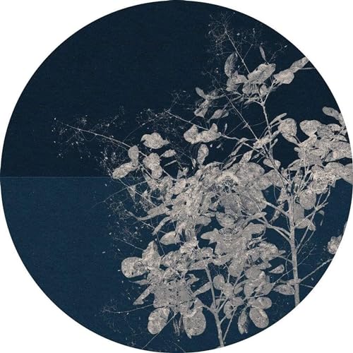 Komar DOT okrągła i samoprzylepna fototapeta z włókniny Branch średnica 125 cm 1 sztuka tapeta, dekoracja, tapeta ścienna, obraz ścienny, wykładzina ze wzorem D1 033 Komar DOT okrągła i samoprzylepna fototapeta z włókniny Branch średnica 125 cm 1 sztuka tapeta, dekoracja, tapeta ścienna, obraz ścienny, wykładzina ze wzorem D1 033
