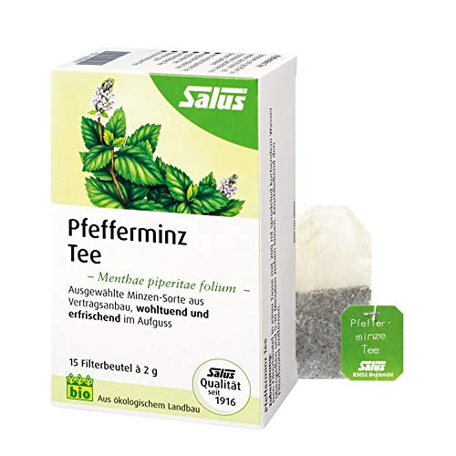 Floradix Mięta Pieprzowa Organiczna Herbata Ziołowa 15 Torebek - obrazek 1