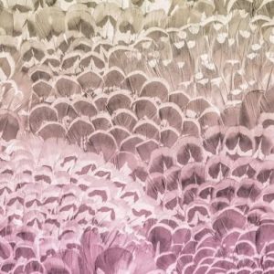 Komar Fototapeta z włókniny Pale Feathers wymiary 200 x 250 cm (szerokość wysokość) tapeta ścienna do salonu, sypialni, biura, korytarza, pióra, dekoracja P028 VD2 Komar Fototapeta z włókniny Pale Feathers wymiary 200 x 250 cm (szerokość wysokość) tapeta ścienna do salonu, sypialni, biura, korytarza, pióra, dekoracja P028 VD2