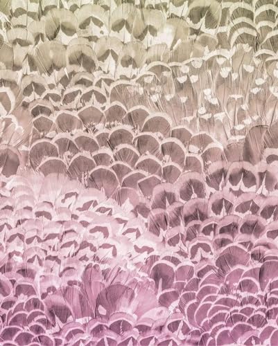 Komar Fototapeta z włókniny Pale Feathers wymiary 200 x 250 cm (szerokość wysokość) tapeta ścienna do salonu, sypialni, biura, korytarza, pióra, dekoracja P028 VD2 Komar Fototapeta z włókniny Pale Feathers wymiary 200 x 250 cm (szerokość wysokość) tapeta ścienna do salonu, sypialni, biura, korytarza, pióra, dekoracja P028 VD2