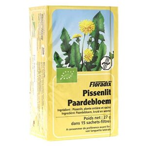 Floradix F mniszek lekarski organiczne ziołowe 15 worków Floradix F mniszek lekarski organiczne ziołowe 15 worków