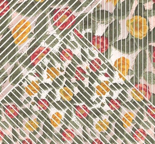 Komar fototapeta z włókniny Cactus tapeta, XXL, dekoracja, styl młodzieżowy, sypialnia, salon, biuro, korytarz wymiary 300 x 280 cm (szerokość wysokość) HX6 042, kolorowa Komar fototapeta z włókniny Cactus tapeta, XXL, dekoracja, styl młodzieżowy, sypialnia, salon, biuro, korytarz wymiary 300 x 280 cm (szerokość wysokość) HX6 042, kolorowa