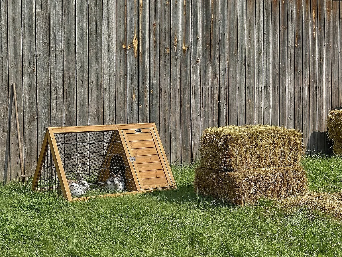 Hutch "Biscotte" - 100 x 62 x 52 cm - Brązowy 4822847 - obrazek 1