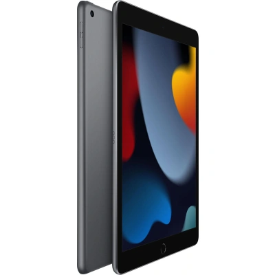 Apple 10.2 inch iPad Wi Fi 256GB Space Grey 2021 MK2N3FD/A - obrazek 1